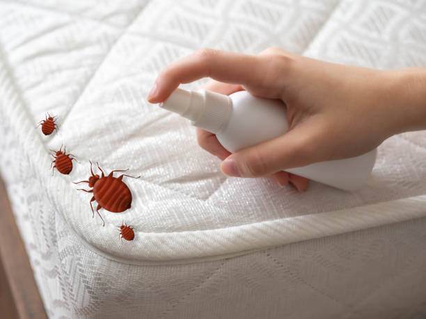 Best Pest Prevention Services  in Kimberly, WI